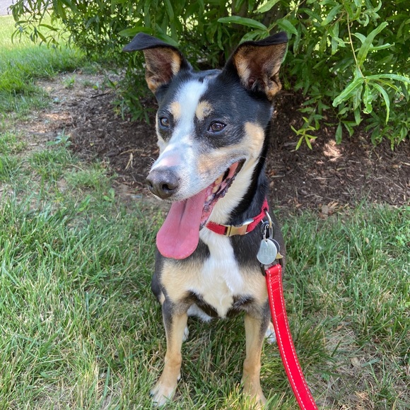 hi! - Picture 2 of 2